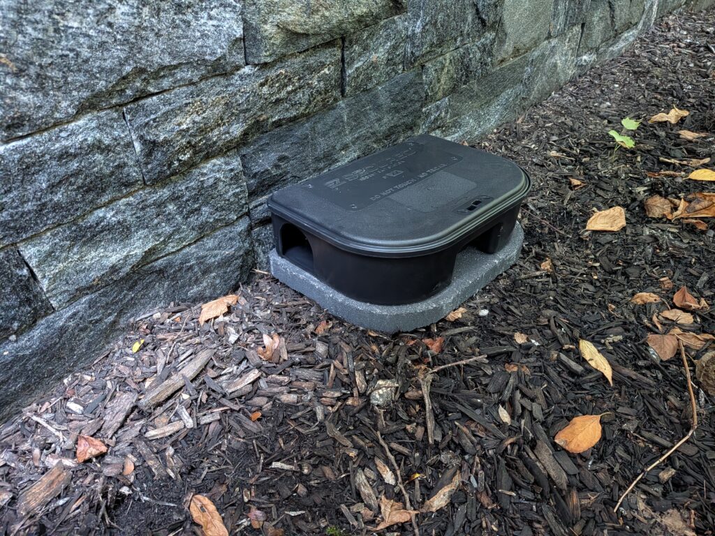 Rodent Removal in Westchester County, NY 1 Rodent Removal in Westchester County NY technician inspecting for mice
